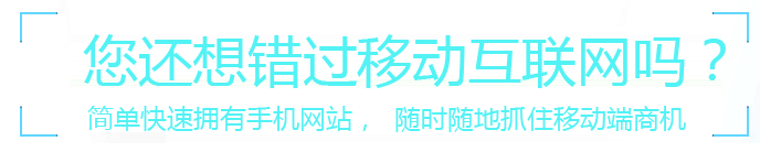 手機(jī)網(wǎng)站